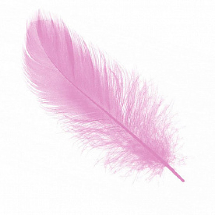 Перья Нежно-розовые 30 шт